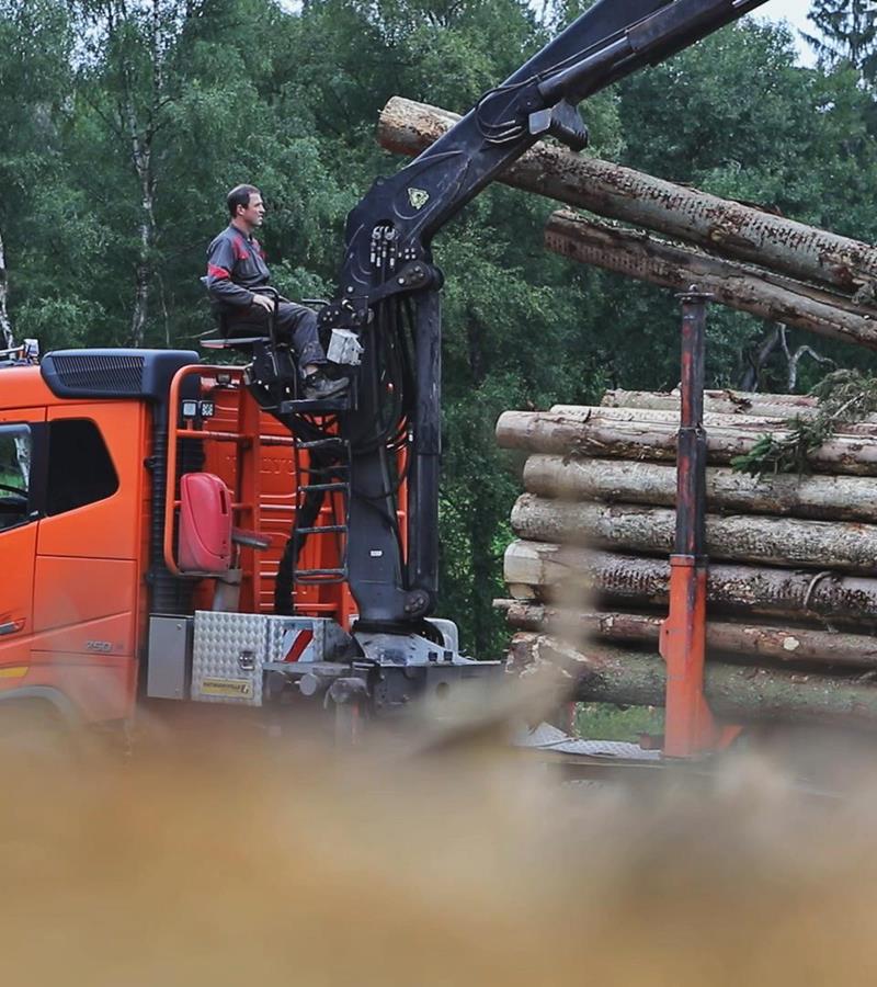 Holzhandlung Müller