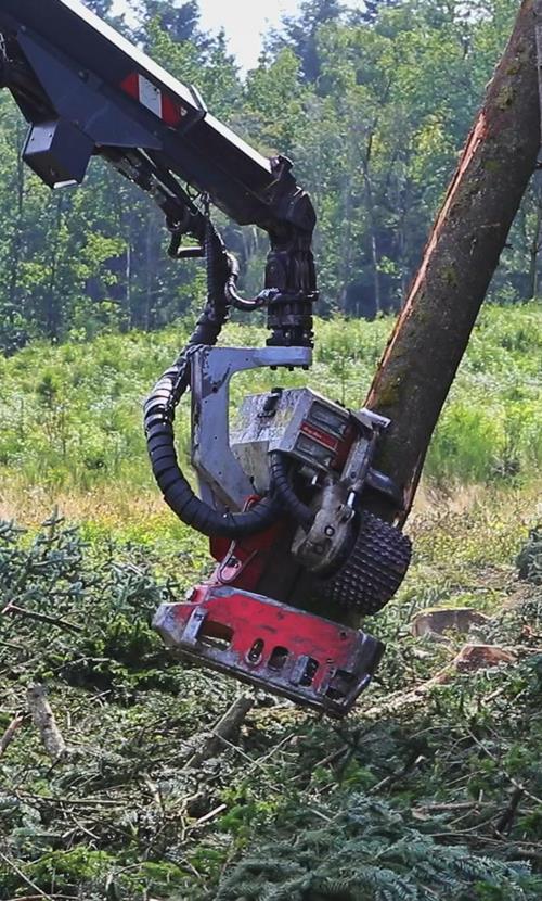 Holzhandlung Müller